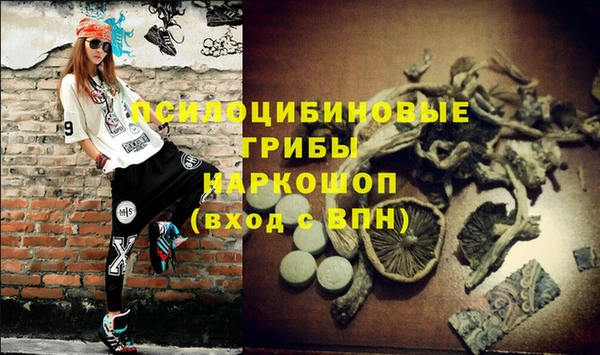 мяу мяу мука Балабаново