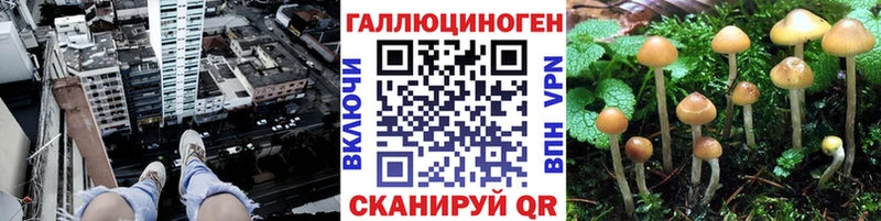 Галлюциногенные грибы Cubensis  omg ONION  Щёлкино 